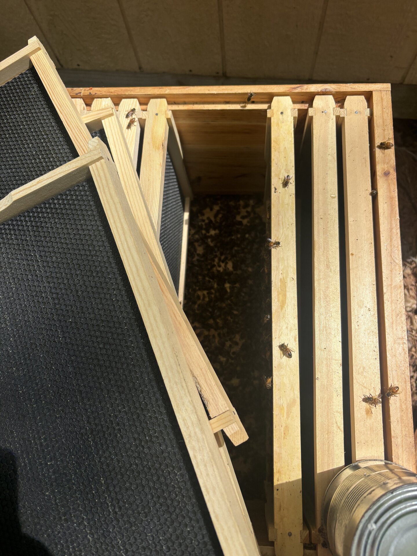 Top-down view of an open hive box with frames pulled to make room for the package. A handful of honeybees already crawling on the frame tops.