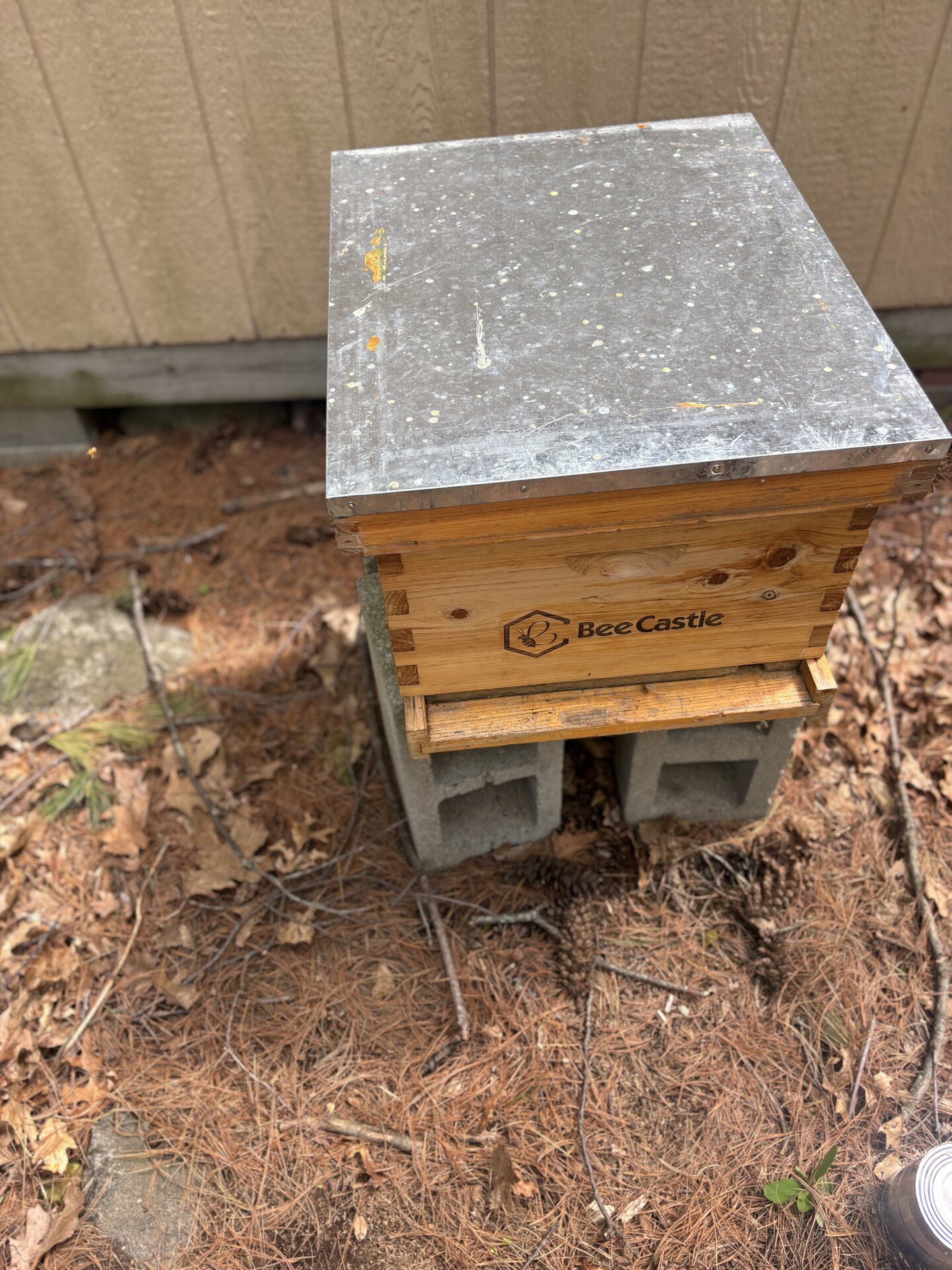 Closed wooden hive on cinder blocks against the side of the shed. BeeCastle single-deep, entrance reduced, galvanized lid.